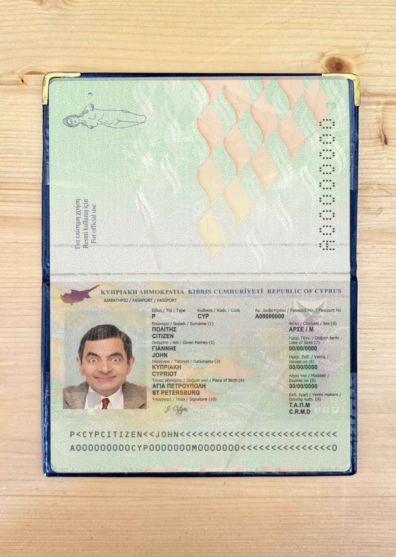 Cyprus passport photo look PSD template